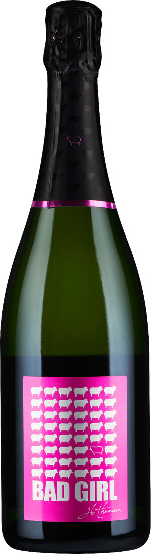 Игристое вино Bad Girl Brut, Cremant de Bordeaux, 2010